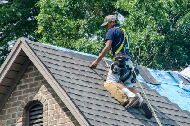 Best Shingle Roofing Installation  in Chapel Hill, NC
